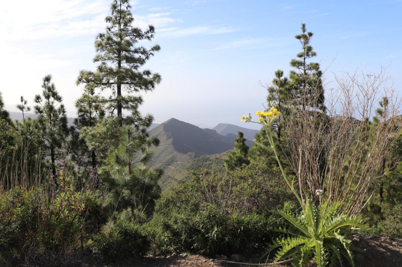 Traditional Canarian Home With Fantastic View Santiago del Teide Exterior foto